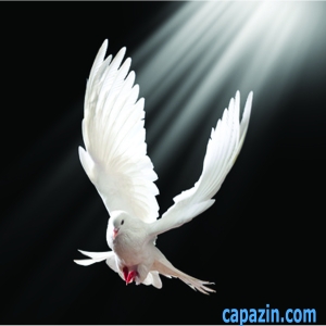 Holy Spirit Outpouring