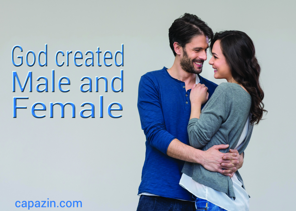 God Created Male and Female - Capazin