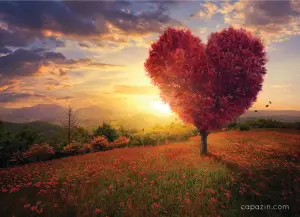established heart